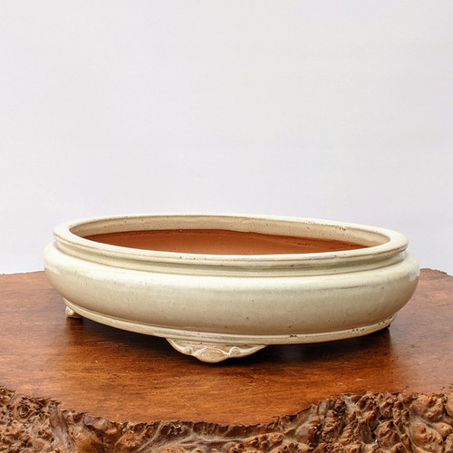 An oval, cream-colored glazed bonsai pot sits centered on a rustic, polished wooden base against a solid white background. The shallow ceramic pot features a smooth, rounded body with a slightly flared rim and a subtle horizontal ridge encircling the upper portion. While the exterior and rim are finished with a glossy off-white glaze, the interior remains unglazed, showing the natural reddish-brown color of the terracotta clay. The pot is supported by four small, decorative "cloud" feet featuring subtle ornate carvings. It rests on a thick slab of dark, warm-toned wood that has a polished surface and a textured, natural live-edge detail in the foreground, creating a striking contrast between the smooth pottery and the organic wood grain.
