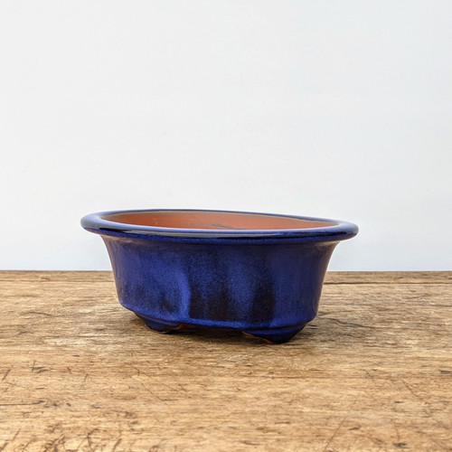 A deep cobalt blue glazed ceramic bonsai pot with a glossy finish, featuring an oval shape and a wide, flared rim. The pot stands on small integrated feet for drainage and elevation, resting on a weathered, light-brown wooden surface. The interior of the pot shows its natural, unglazed reddish-brown terracotta clay. The background is a clean, solid off-white, highlighting the vibrant blue color and elegant craftsmanship of the bonsai container.
