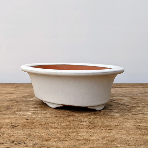 An oval-shaped glazed ceramic bonsai pot sits on a weathered, rustic wooden surface. The pot features a smooth, creamy white exterior glaze with subtle, fine speckles and a wide, rounded rim that flares slightly outward. Its interior reveals a contrasting natural terracotta-red clay. The container is supported by small, integrated feet that provide a slight lift from the wooden table, a traditional design feature for drainage and aeration in bonsai cultivation. The background is a minimalist, neutral light gray, emphasizing the pot's clean lines and elegant silhouette.