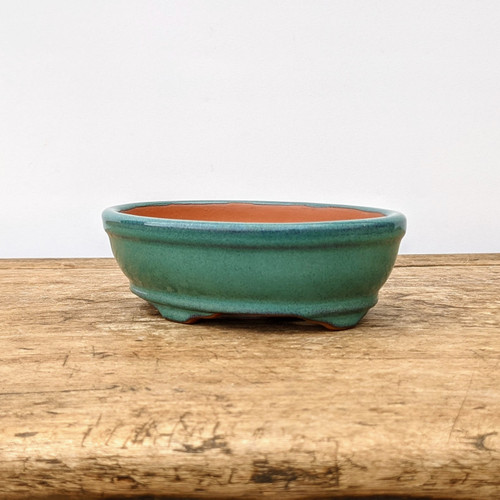 A shallow, oval-shaped glazed bonsai pot in a vibrant forest green finish. The ceramic pot features a thick, rounded rim and a slightly mottled glaze with subtle blue-green highlights concentrated around the top and bottom edges. The interior of the pot is unglazed, revealing a natural reddish-brown terracotta clay. Designed for functionality, the pot is elevated on four small, integrated feet to allow for proper drainage and aeration for a bonsai tree's root system. The container is centered on a weathered, light-colored wooden surface against a clean, off-white background, emphasizing its classic design and rich color.