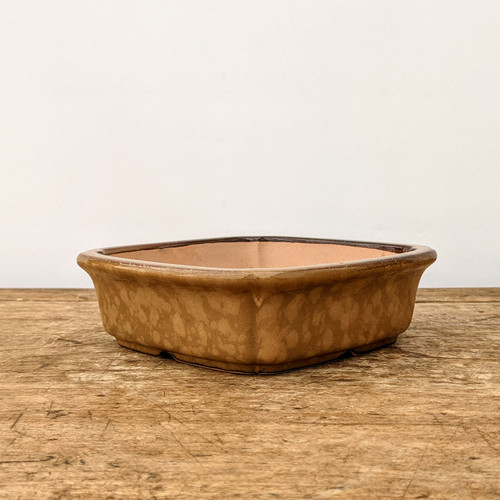 6 inch square Yixing bonsai pot in a mottled brown oil spot glaze