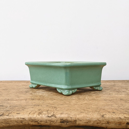 A rectangular, glazed ceramic bonsai pot in a soft celadon green sits centrally on a rustic wooden table. The pot features slightly flared sides, a smooth glossy finish, and four decorative, scrolled "cloud" feet. It is framed against a plain, off-white background, emphasizing its elegant and traditional design. The weathered wood beneath the pot adds a natural, organic texture to the scene, highlighting the pot's aesthetic as a functional piece of art for displaying bonsai trees.