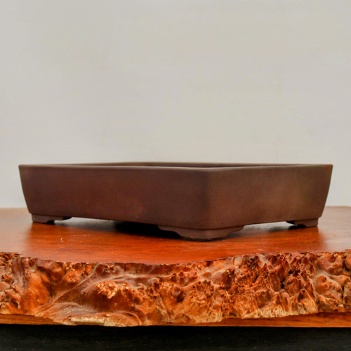 Japanischer Tokoname Bonsai-Topf – Größe TC6, 18,6 X 8,7 Cm, Aus Hochporöser Tonerde, Mit Drainageloch
