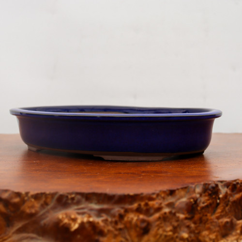 A side-view photo of a shallow, oval-shaped blue Japanese glazed bonsai pot resting on a polished natural wood stand. The ceramic pot features a vibrant, deep cobalt blue glaze with a smooth, glossy finish and a rounded rim. At the base, small unglazed feet are visible, providing stable support. The pot's elegant, low-profile design is characteristic of traditional Japanese aesthetics, making it an ideal container for various bonsai tree styles. The composition highlights the rich color contrast between the blue glaze and the warm reddish-brown wood tones of the display board, all set against a neutral, light-colored background.