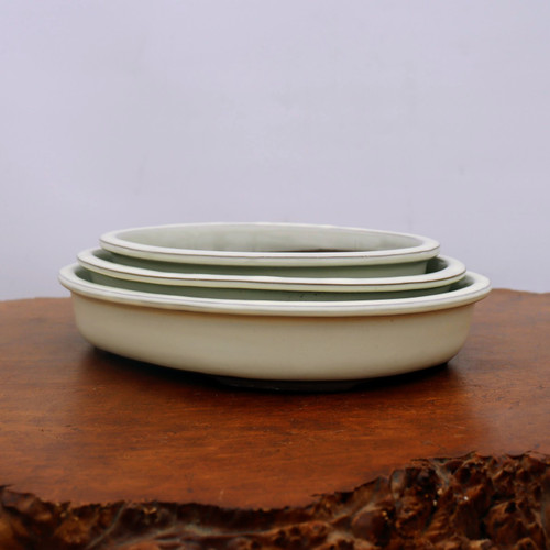A set of three nested, cream-colored Japanese glazed bonsai pots in graduated sizes. These shallow, oval-shaped ceramic pots feature a smooth finish with a thin, dark grey-brown rim, showcasing a classic and elegant aesthetic. The pots are displayed on a rich, dark-toned wooden surface with a textured live edge, highlighting their minimalist design and suitability for professional bonsai display against a clean, neutral background.