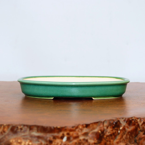 A detailed eye-level photograph of a shallow, oval-shaped glazed bonsai pot in a rich forest green. The ceramic pot features a vibrant, glossy glaze with a delicate, fine crackle pattern, often referred to as craquelure, which adds depth and texture to its surface. The interior of the pot and its small, integrated feet are a contrasting light cream or off-white color. The pot is positioned centrally on a polished, dark-toned wooden table that shows a rich grain and has a textured, natural "live-edge" visible in the lower foreground. The background is a simple, minimalist off-white wall, which makes the deep green of the planter stand out as the primary subject. This low-profile, elegant bonsai container is designed for displaying mature bonsai trees, particularly those in landscape or forest styles.