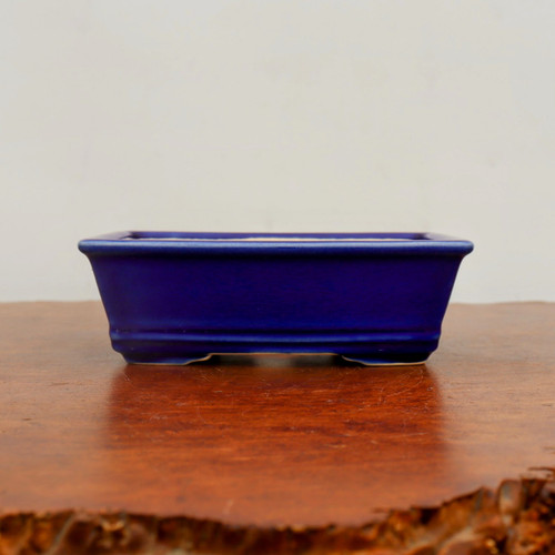 A front-view photograph of a rectangular bonsai pot with a vibrant, deep cobalt blue glaze. The ceramic pot is centered on a polished, reddish-brown wooden surface, likely a bonsai display stand or table. The pot features a clean, classic design with a slightly flared top rim and a structured, stepped base that incorporates four small feet for drainage and stability. 

The glossy blue finish is smooth and uniform, catching a soft light that highlights the pot's elegant silhouette and sharp lines. The background is a minimalist, plain off-white wall, ensuring the focus remains entirely on the craftsmanship and bold color of the bonsai container. This type of glazed pot is a popular choice for bonsai enthusiasts looking to create a striking contrast with the green foliage or colorful blossoms of their trees.