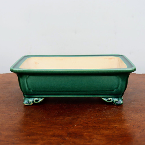 A front-facing view of a rectangular, emerald green glazed ceramic bonsai pot, characterized by its rich color and traditional design. The pot features a deep forest green glaze with a fine crackle finish, often referred to as crazing, which adds a layer of antique texture to the surface. Its structure includes outward-sloping sides that culminate in a distinct, wide rim. The front face is decorated with an inset rectangular panel, while the base is supported by four ornate, scrolled feet with cloud-like motifs and darker green accents. The interior of the pot is left in its natural, unglazed cream-colored ceramic state. The bonsai pot sits prominently on a dark, weathered wood surface against a minimalist, off-white background, highlighting its craftsmanship and suitability for showcasing a well-maintained bonsai tree.
