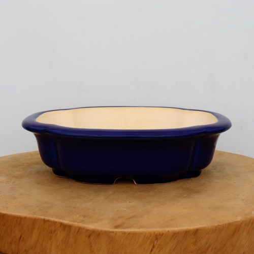 10 inch four-lobed Yixing bonsai pot in glossy cobalt blue with a cream interior