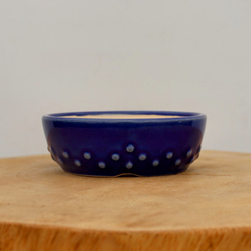 A side-view photo of a small, shallow, oval-shaped ceramic bonsai pot finished in a rich, glossy cobalt blue glaze. The lower exterior of the pot is adorned with a decorative pattern of raised, light-blue rivets or studs, creating a unique textured hobnail effect. The pot sits on a rustic natural wood surface with visible grain and growth rings, set against a clean, neutral off-white background that makes the deep blue color pop. This elegant glazed bonsai pot features a smooth rim and subtle built-in feet, making it an ideal choice for displaying small bonsai trees or succulents with a touch of traditional craftsmanship.