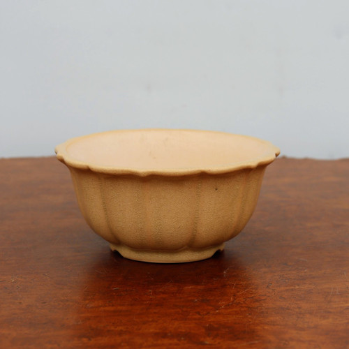 A small, round, cream-colored glazed bonsai pot with a delicate scalloped rim and fluted exterior. The ceramic pot features a subtle crackle glaze finish, adding fine texture to its light beige surface. It is displayed centered on a rich, dark-brown polished wooden table against a neutral, light-gray background. This elegant container, suitable for small bonsai trees or succulents, sits on a slight base, showcasing its classic handcrafted appeal.