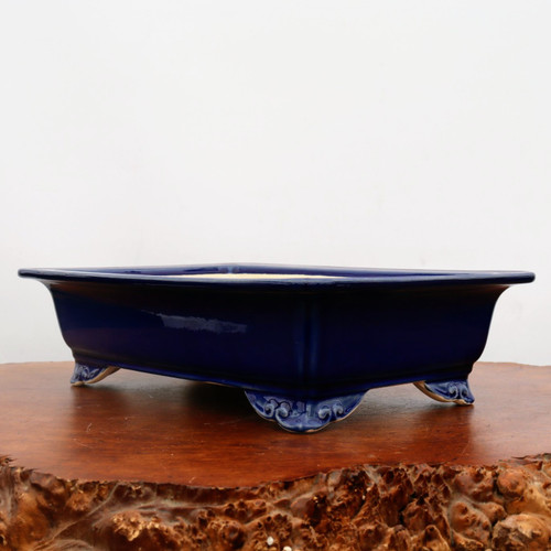 An eye-level, side-angle photograph showcases a shallow, rectangular glazed bonsai pot in a vibrant, glossy cobalt blue. The pot features ornate, decorative feet with a swirling, cloud-like motif. Its upper rim flares slightly outward, creating a graceful silhouette. The pot sits atop a thick, rustic, and irregularly shaped dark wood burl display stand, which has a polished top and a natural, craggy edge. The entire arrangement is set against a plain, light-gray background, which makes the deep blue of the pot and the rich textures of the wood stand pop. This elegant blue bonsai pot is a classic choice for providing a striking color contrast to deciduous or flowering bonsai specimens.
