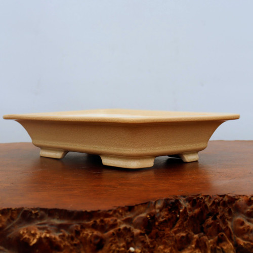 11 inch shallow rectangular cream glazed Yixing bonsai pot with fine crackle
