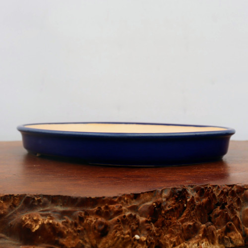 A side profile view of a shallow oval bonsai pot featuring a deep cobalt blue glaze and a glossy finish. The pot is positioned on a polished dark wood table with a highly textured, organic bark-like front edge. The interior of the pot shows a contrasting light tan ceramic color. The entire arrangement is set against a plain, off-white background, highlighting the elegant shape and rich color of this glazed ceramic bonsai pot.