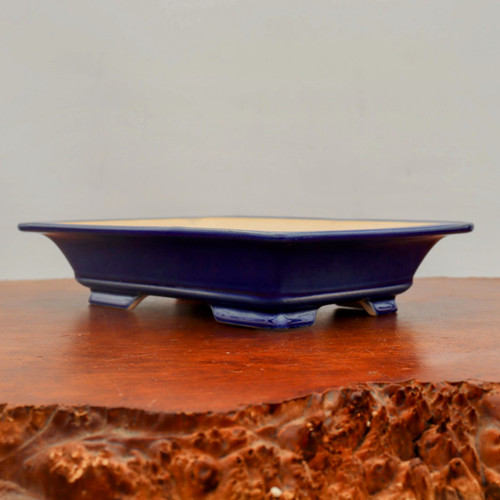 A side-view, eye-level photograph of a shallow, rectangular bonsai pot with a vibrant cobalt blue glazed finish. The pot features a wide, flared rim and four small, elegantly carved feet at its corners. The exterior's glossy glaze has subtle highlights, while the interior is an unglazed, natural tan-colored ceramic. It is displayed on a highly polished reddish-brown wooden burl slab with a rugged, textured live edge in the foreground, set against a plain, neutral-toned background.