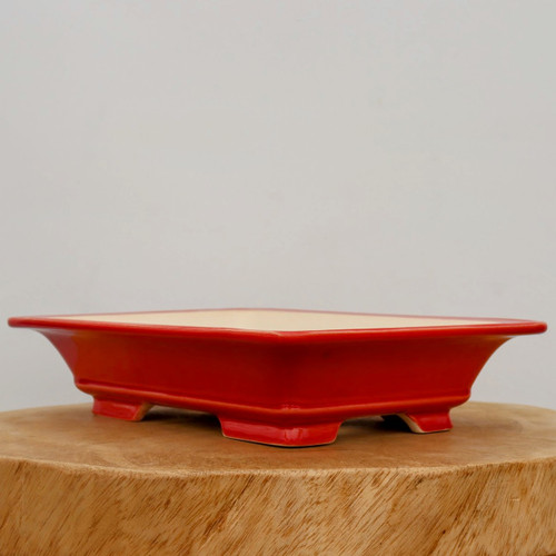 An eye-level, slightly angled studio photograph of a rectangular glazed red bonsai pot from Bonsai Outlet. The pot features a vibrant, glossy crimson-red finish on its exterior walls, which flare out slightly toward a wide, thin rim. The interior of the pot is a contrasting matte off-white color. It stands on four small, rectangular red feet, elevating the base. The pot is displayed on a thick, circular, natural wood pedestal with a visible wood grain, all set against a clean, minimalist off-white wall background.
