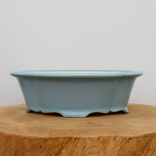 A side-profile view of a light blue glazed bonsai pot resting on a thick, natural wood pedestal against a plain, neutral white background. The pot features a soft, pastel blue glaze with a smooth, subtle glossy finish. Its design is a shallow, oval shape with elegant, scalloped or lobed detailing along the side panels. The bottom of the pot is finished with a decorative scalloped apron that transitions into small, integrated feet. The top edge has a gently flared rim, which reveals a hint of the pale, unglazed tan clay on the interior. This ceramic bonsai container is a classic example of decorative pottery used to complement the artistic presentation of a bonsai tree.