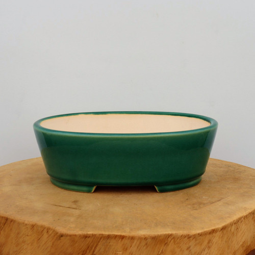 A high-gloss, deep forest green glazed bonsai pot with an oval, shallow design sits centered on a thick, natural wooden pedestal. The exterior of the ceramic pot features a vibrant, smooth glaze that catches the light, while the interior is unglazed, revealing its natural light tan clay color. The bonsai container has a slightly tapered body and is supported by a low-profile base with discreetly integrated feet for stability and drainage. The pot is displayed against a clean, neutral off-white background, emphasizing its elegant form and rich emerald color, making it an ideal choice for various bonsai styles.