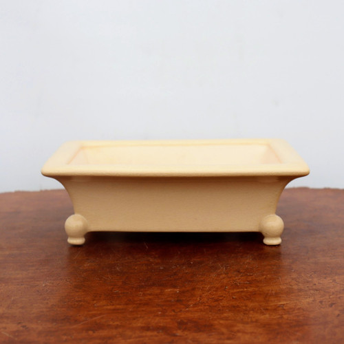 A side-view studio photograph of a rectangular, cream-colored glazed bonsai pot. The pot features an elegant design with slightly flared, inward-sloping sides and a flat top rim. It is supported by four small, rounded ball feet located at each corner, elevating the container. The smooth, matte cream finish gives it a clean and classic look suitable for various bonsai tree styles. The pot sits centered on a polished dark brown wood tabletop with a visible natural grain, set against a plain, light-toned background. This ceramic container from Bonsai Outlet represents a timeless choice for enthusiasts looking for a neutral-colored, footed bonsai pot to complement their botanical displays.