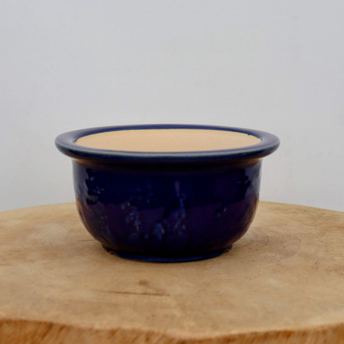 A small, round ceramic bonsai pot sits centered on a light-colored, natural wood slab against a plain, neutral white background. The pot is finished in a rich, deep cobalt blue glaze with a glossy sheen that shows subtle mottled textures and color variations. It features a wide, slightly flared rim and a bowl-like body that tapers gently toward a small, recessed base. The interior of the pot remains unglazed, revealing the pale tan or light beige color of the natural ceramic material. The overall composition is clean and focused, highlighting the craftsmanship and vibrant color of the glazed bonsai container.