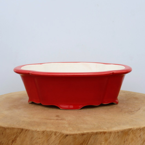 A nine-inch rectangular ceramic bonsai pot with a vibrant, high-gloss red glaze on its exterior and a smooth off-white interior. The pot features an elegant scalloped or lobed design along its flared rim and base, sitting on small, integrated apron-style feet that provide necessary elevation for drainage. The shallow depth and bold primary color make it an ideal planter for shohin or medium-sized bonsai trees, offering a striking aesthetic contrast to green foliage or flowering species. The pot is pictured centered on a rustic, thick-cut circular wooden slab against a clean, neutral white background.