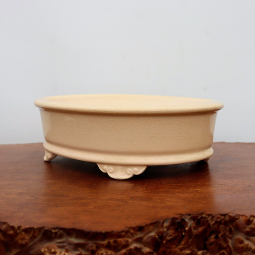 A front-facing view of a 12-inch oval glazed bonsai pot in a soft cream or light beige color. The pot features a glossy finish with a fine, crackled glaze texture, known as crazing, visible across its surface. It has a slightly outward-curving, rolled rim and is supported by four decorative, elegantly carved cloud-style scroll feet. The pot is showcased sitting on a polished, dark brown wooden table with a natural, rustic edge, all set against a neutral, clean white background to highlight the pot's smooth contours and traditional craftsmanship.
