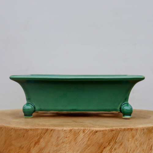 A rectangular, emerald green glazed ceramic bonsai pot sits centered on a thick, light-colored wooden slab with a natural grain. The pot features a wide, flat overhanging rim and smooth sides that flare outward slightly. Supporting the pot at each corner are four decorative, rounded bulbous feet that provide a slight elevation from the wooden surface. The high-gloss green finish is vibrant and solid, reflecting light and highlighting the pot's elegant, clean lines. The entire scene is set against a neutral, light-gray background, which makes the rich green color of the ceramic vessel stand out. This high-quality bonsai pot is designed to offer a balanced and aesthetically pleasing home for a well-crafted bonsai tree.