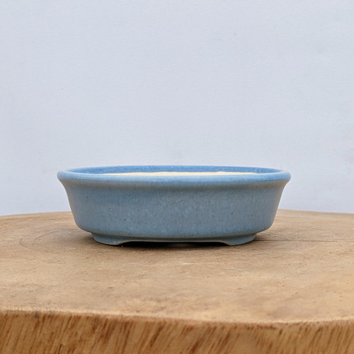 4 inch shallow light blue glazed Yixing bonsai pot with a matte finish