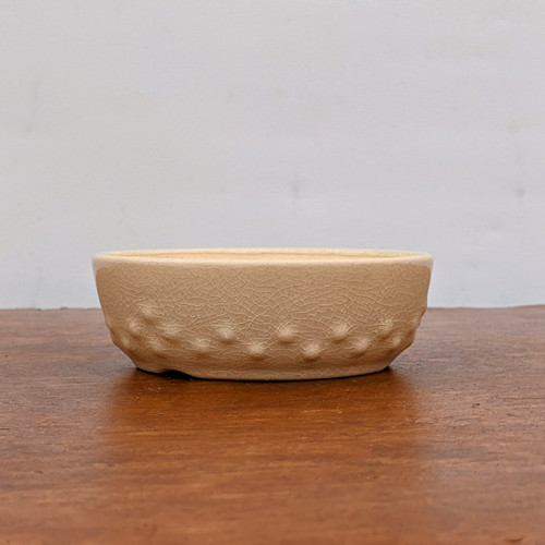 A detailed side view of a shallow, cream-colored glazed bonsai pot centered on a dark wood surface. The ceramic pot features a sophisticated crackle glaze finish that covers its entire light beige exterior. Around the lower half of the pot's body, a decorative textured band of small, raised bumps or nodules adds visual interest and a tactile element. The pot has an elegant, low-profile oval shape with a slightly recessed base. It is set against a plain, neutral-toned wall, which highlights its delicate color and fine craftsmanship. This stylish and functional bonsai container is designed to complement the aesthetic of a small bonsai tree.