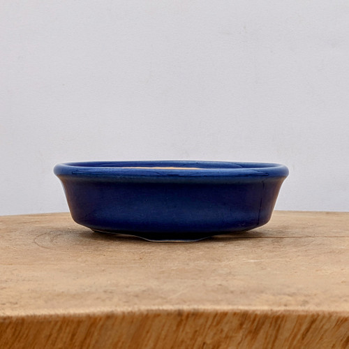 A detailed profile shot of a small, shallow blue glazed ceramic bonsai pot, showcasing its rich, cobalt-colored finish and subtle crackle texture. This oval-shaped bonsai container features a classic rolled rim and integrated feet for stability and drainage. It sits centered on a rustic, light-wood surface against a clean, neutral off-white background, highlighting the pot's vibrant color and sleek design, which is suitable for various bonsai tree styles.