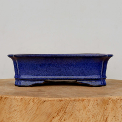 A detailed side-profile view of an eight-inch rectangular glazed bonsai pot in a vibrant, deep cobalt blue. The ceramic pot features a glossy finish with subtle mottling throughout the glaze, giving the surface a rich, professional texture. Its design includes elegant, slightly flared sides ending in a pronounced upper rim and a matching flared base. The pot is elevated by integrated, subtly arched feet in a traditional scalloped or "cloud" style. It is positioned centrally on a thick, circular slab of light-colored natural wood, showcasing the wood's organic grain patterns and raw edges. The entire scene is set against a plain, neutral off-white background, emphasizing the striking blue color and elegant, functional form of this bonsai container.