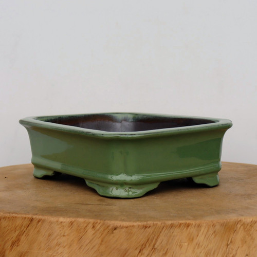 An eight-inch rectangular green glazed ceramic bonsai pot sits atop a thick, natural wood slice against a plain, off-white background. The pot features a rich, glossy forest green glaze on its exterior walls, while the interior is a dark, contrasting brown. Its design includes classic indented corners and a slightly flared rim, giving it a refined, traditional aesthetic. The pot is elevated by four integrated, decorative feet with a curved, scalloped profile. The smooth, reflective surface of the glaze catches the light, highlighting the pot's clean lines and elegant craftsmanship, making it a perfect vessel for a curated bonsai tree.