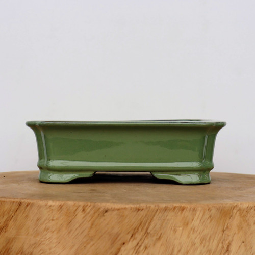 A detailed side-profile photograph shows an eight-inch rectangular green glazed ceramic bonsai pot. The pot features a rich, glossy olive-green finish that reflects light subtly. Its design includes a slightly flared top rim and a decorative horizontal ridge wrapping around the lower portion of the body. The pot is supported by four short, integrated feet, providing space for drainage beneath. It is displayed on a thick, rustic wooden slab with a visible natural grain, set against a minimalist, off-white background, highlighting the pot's classic aesthetic for bonsai enthusiasts.