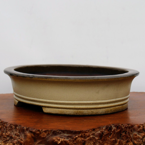16 inch oval Yixing bonsai pot in matte cream with a dark brown rim