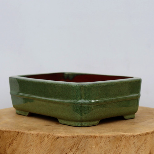 A studio photograph of a nine-inch rectangular bonsai pot with a glossy, moss-green crackle glaze. The ceramic planter features a distinctive horizontal raised band running around its center and gently rounded corners. Elevated by four small, blocky feet at each corner, the pot's interior reveals a natural, unglazed reddish-brown clay. It is showcased on a thick, textured cross-section of a natural wood block, which sits against a clean, neutral off-white background. The soft, even lighting highlights the fine "crazing" texture of the glaze and the subtle reflections on its polished surface.