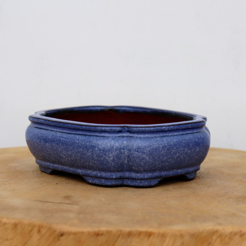 An eye-level studio photograph of a six-inch blue glazed ceramic bonsai pot resting on a circular wooden block. The planter features a rich, mottled cobalt blue glaze with a speckled texture and a classic oval shape with subtle scalloped indentations along the sides. Small, integrated feet elevate the pot, and the rim shows a thin dark border. The interior reveals the unglazed, reddish-brown clay. The pot is centered against a clean, off-white background, emphasizing its craftsmanship as a high-quality bonsai accessory.