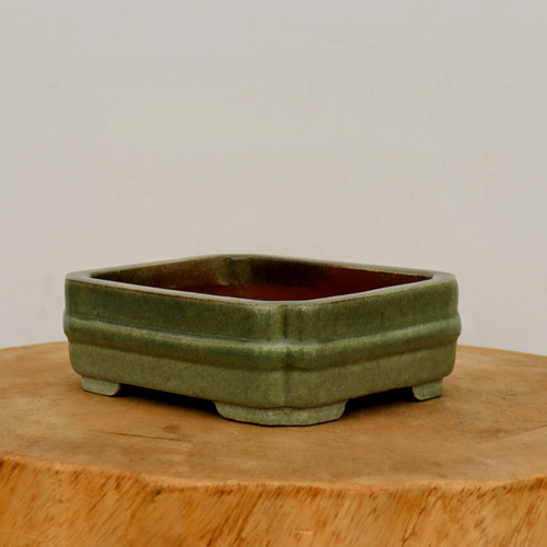 A six-inch glazed ceramic bonsai pot in a muted olive green color is shown centered on a thick, natural wood pedestal against a plain, off-white background. The low-profile, rectangular planter features decorative notched corners and a subtle horizontal band encircling the middle. The exterior has a smooth, matte finish, while the interior reveals an unglazed reddish-brown clay. Four small, sturdy feet support the pot at its corners, giving it a classic and balanced appearance suitable for a variety of bonsai trees.