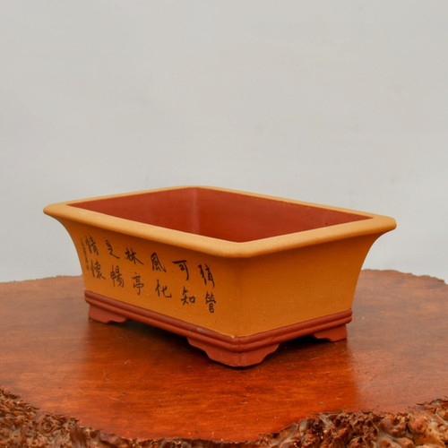 An eye-level, slightly angled studio shot features a rectangular, unglazed ceramic bonsai pot resting on a polished, warm-toned wooden display stand with a natural, rustic edge. The pot showcases a distinctive two-tone color palette; its flared upper body is a light sandy-ochre, while the interior and the integrated, four-footed base are a deeper, contrasting reddish-terracotta. The front long side of the pot is decorated with several columns of traditional Chinese calligraphy characters, hand-etched and filled with black ink. The matte, earthy texture of the clay and the clean, classic lines of the vessel are characteristic of high-quality, unglazed bonsai containers. The pot is empty and positioned against a plain, neutral off-white background, drawing full attention to the craftsmanship of the ceramic and the delicate etching.