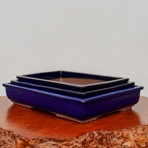 A set of three rectangular blue Japanese bonsai pots, nested one inside the other and stacked from largest to smallest. These ceramic planters feature a vibrant, glossy cobalt blue glaze on their exterior, with a contrasting unglazed, light-tan clay visible on the interior and bottom rim. Each pot has a clean, minimalist design with small feet at the corners for drainage. The pots rest on a polished, natural-edge wooden base against a plain, light gray background, highlighting their sleek lines and classic Japanese aesthetic.