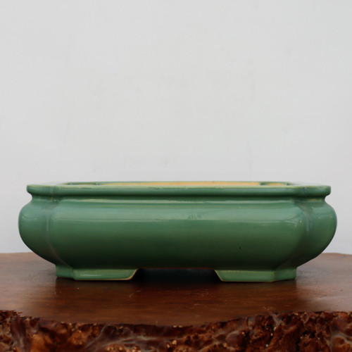 A twelve-inch Yixing glazed bonsai pot in a serene celadon green color. The planter features a rectangular shape with soft, rounded corners and a subtle outward curve to its walls, creating an elegant, low-profile silhouette. The glossy glaze has a smooth finish that reflects light, while the interior reveals the natural, pale-yellow tone of the unglazed clay. The pot is elevated by four short, integrated block feet and is displayed on a rustic, dark-wood pedestal with a live-edge base. The background is a clean, neutral white, emphasizing the pot's refined craftsmanship and earthy tones, perfect for housing a variety of bonsai tree species.