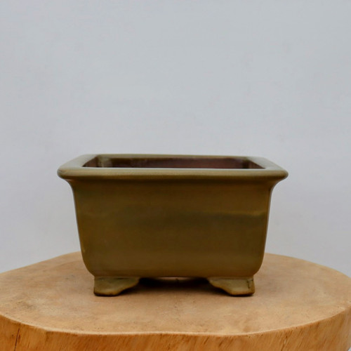 A nine-inch rectangular Yixing bonsai planter featuring a subtle olive-green matte glaze. The pot has a sturdy, traditional design with a slightly flared upper rim and four stout block feet at the base for elevation and drainage. The matte glaze exhibits soft tonal variations, enhancing its natural, earthy aesthetic. The planter is presented centered on a thick, light-toned cross-section of a wooden log, set against a plain, neutral-colored background, emphasizing its simple and elegant form suitable for various bonsai styles.
