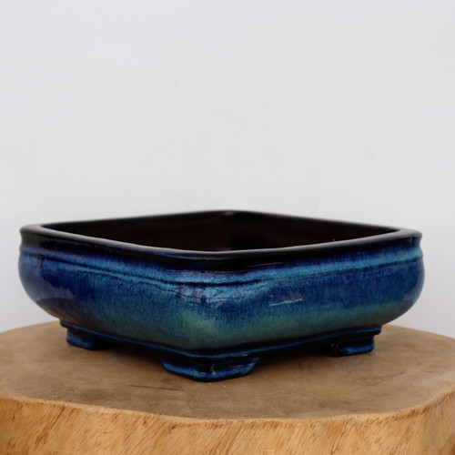 An elegant, rectangular nine-inch Yixing glazed bonsai planter sits on a thick, natural-grained wooden pedestal against a clean white background. This artisanal bonsai pot features soft, rounded corners and slightly bowed sides that rest on four integrated corner feet. The exterior is finished in a striking high-gloss glaze that showcases a rich color gradient, transitioning from a deep, near-black indigo at the top rim to a vibrant cobalt blue across the middle, and finally fading into a lighter turquoise-green hue at the bottom. The glossy surface of this ceramic planter catches the light, highlighting its smooth texture and the depth of its hand-applied glaze.