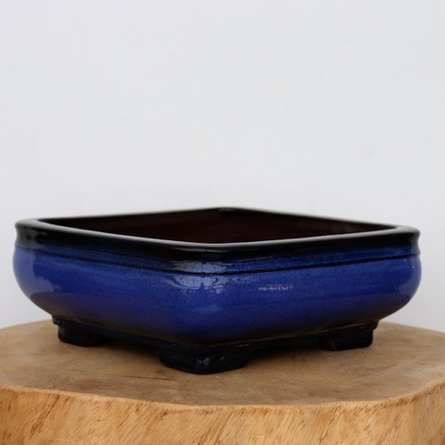 A nine-inch Yixing glazed bonsai pot in a deep cobalt blue color, featuring a dark, near-black rim. This rectangular planter has rounded corners and a slight outward curve to its walls, sitting on four sturdy, square-shaped feet. The glossy finish of the glaze reflects a soft light. The pot is presented on a natural, light-wood cross-section slab against a clean, off-white background, highlighting its artisanal quality and traditional design.