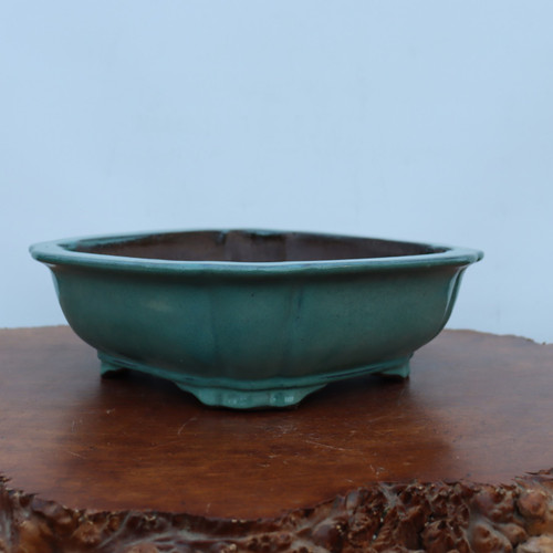 A rectangular, teal-colored Yixing glazed bonsai pot sits centered on a polished, dark wood stand with a natural, rustic gnarled edge. The ceramic container features a rich turquoise glaze with a soft sheen and a subtly lobed or scalloped side profile that adds texture and elegance. 

The pot is designed with a flat, horizontal rim and rests on four small, decorative feet at each corner. Its interior reveals the natural, dark-toned unglazed clay characteristic of Yixing pottery. Positioned against a plain, light blue-grey background, the image emphasizes the traditional craftsmanship and vibrant color of this "Yixing 2323A" bonsai container, making it a prominent piece for displaying various bonsai tree styles.