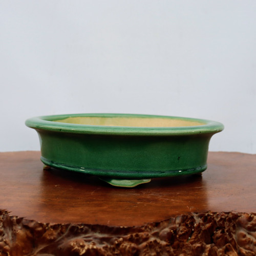A low-profile, emerald green glazed ceramic bonsai pot with an oval shape and a wide rolled rim. The pot features a glossy finish with a fine crackle pattern known as crazing on its exterior. It stands on small integrated feet and is showcased on a polished, rustic wooden burl slab against a plain white background. The interior of the pot reveals the natural, unglazed tan ceramic material.