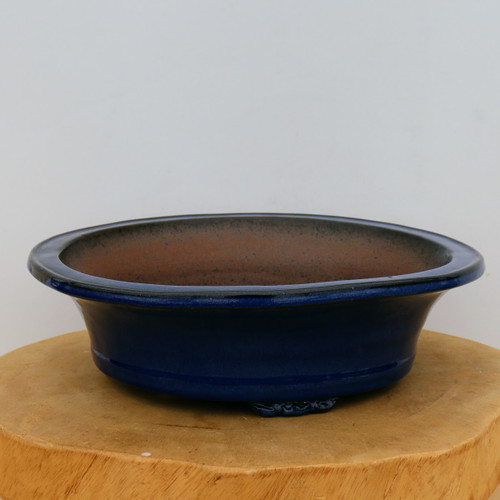 A detailed view of a shallow, oval-shaped Yixing bonsai pot. The exterior is finished in a rich, vibrant cobalt blue glaze that contrasts beautifully with the unglazed, reddish-brown clay of the interior basin. The pot features a prominent, outward-flaring rim with a subtle dark trim along the edge. It rests on small, decorative feet and is showcased on a thick, natural wood pedestal against a clean, off-white background. This high-quality glazed ceramic pot is designed to complement the aesthetics of a mature bonsai tree.