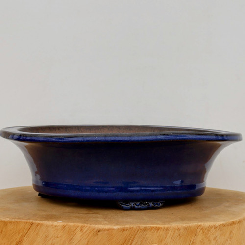 A deep cobalt blue glazed Yixing bonsai pot is shown from a low-angle front view, resting on a light-colored wooden stand against a neutral, off-white background. The pot features a wide, flared rim with a dark, almost black edge that transitions into a rich, glossy navy blue glaze across its curved sides. Subtle variations in the glaze create depth, with hints of purple and indigo appearing under the light. 

The pot's profile tapers downward to a slightly recessed base, where it is supported by small, integrated feet. The interior of the rim reveals the unglazed, natural reddish-brown texture of the Yixing clay from which it is crafted. This high-quality ceramic pot from Bonsai Outlet exhibits the classic craftsmanship and elegant finish characteristic of traditional Yixing pottery, designed to provide both aesthetic beauty and a functional home for a mature bonsai tree.