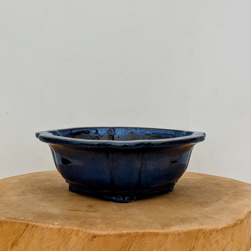 8 inch shallow Yixing bonsai pot in a high gloss midnight blue glaze