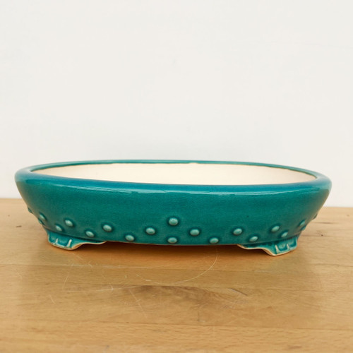 A side view of a 12-inch oval Yixing ceramic bonsai pot (item No. 2512A), showcasing its vibrant teal glazed finish and distinctive riveted design. The shallow pot features a line of raised decorative dots around its lower exterior and rests on four subtle feet. Its interior is a pale cream color, providing a clean contrast to the turquoise exterior. The pot is positioned on a light-toned wooden surface against a plain white backdrop, highlighting its elegant shape and textured glaze.