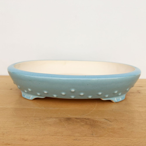 A 12-inch oval glazed Yixing ceramic bonsai pot sits on a light-toned wooden surface against a clean white background. This side profile view highlights the pot’s soft sky-blue glaze, which covers the exterior, while the interior is finished in a contrasting cream-colored beige. The lower half of the pot’s exterior features a distinctive "riveted" texture, comprised of small raised ceramic dots evenly spaced around the perimeter. The low-profile, shallow design is typical for bonsai cultivation and is supported by integrated, slightly flared feet that lift the pot off the wooden surface. The smooth, glossy finish and decorative rivets give this Yixing ceramic container an elegant, traditional aesthetic suitable for displaying a variety of bonsai tree species.